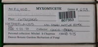 Image Associated With the Occurence